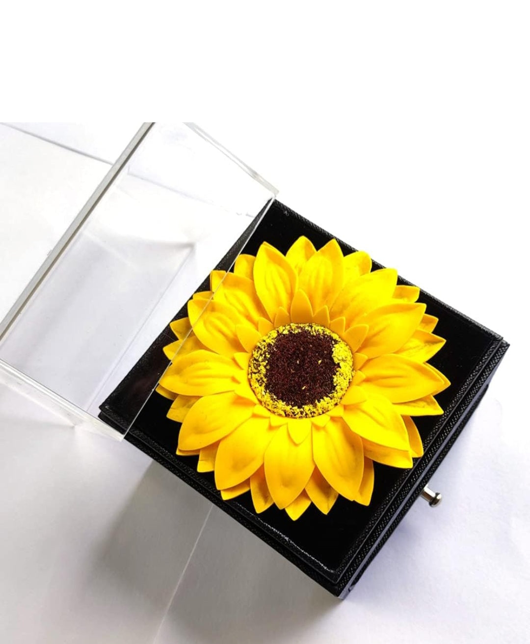 COFRE GIRASOL + COLLAR GIRASOL